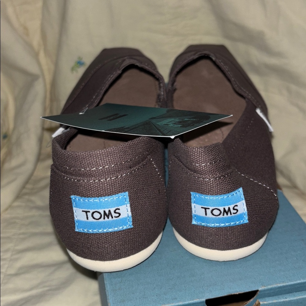 TOMS Ash Canvas Classic (NWT) - Picture 4 of 6
